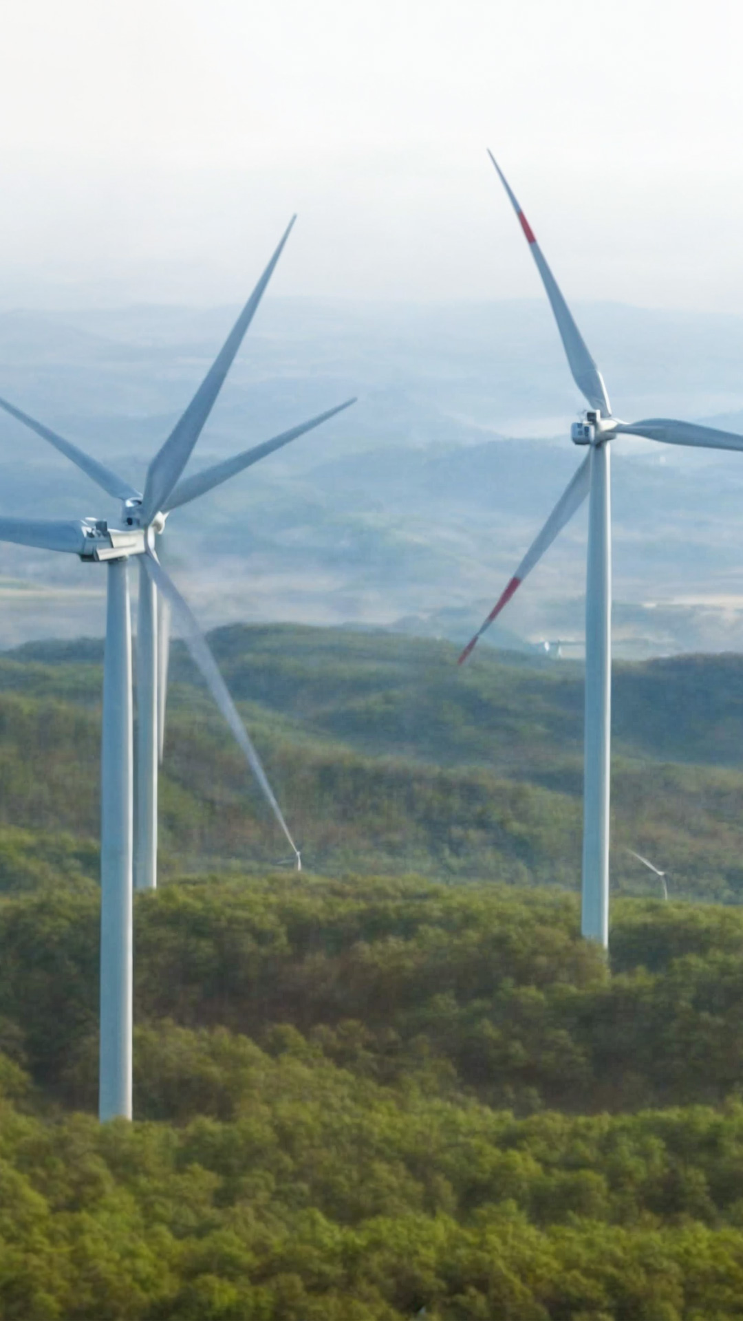 Drei Windkraftanlagen hoch über einem Wald, die mit AURELO Energieparkmanager von Allgeier inovar für die kaufmännische Betriebsführung betrieben werden.