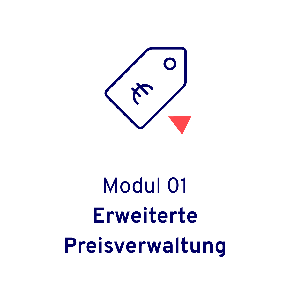 Blaues Icon mit einem Preisschild zusammen mit einem roten Dreieck. Visualisiert das Allgeier itrade für den Großhandel Modul – Erweiterte Preisverwaltung.