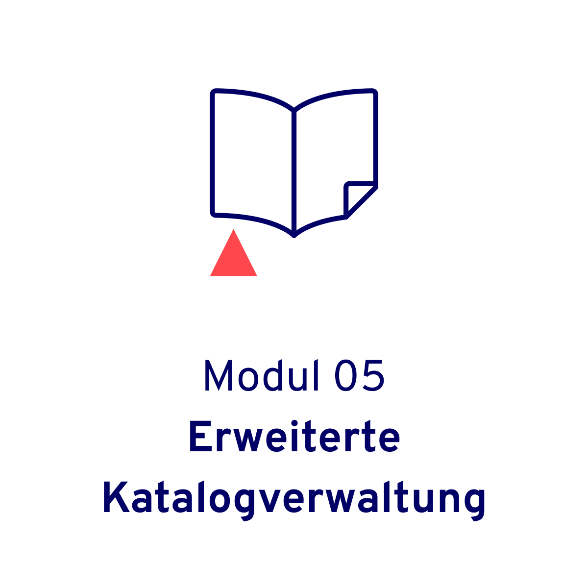 Blaues Icon mit einem aufgeschlagenen Katalog zusammen mit einem roten Dreieck. Visualisiert das Allgeier itrade für den Großhandel Modul – Erweiterte Katalogverwaltung.
