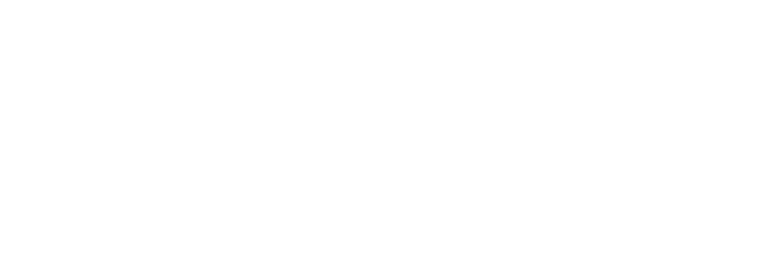 connect professional Logo in weiß.